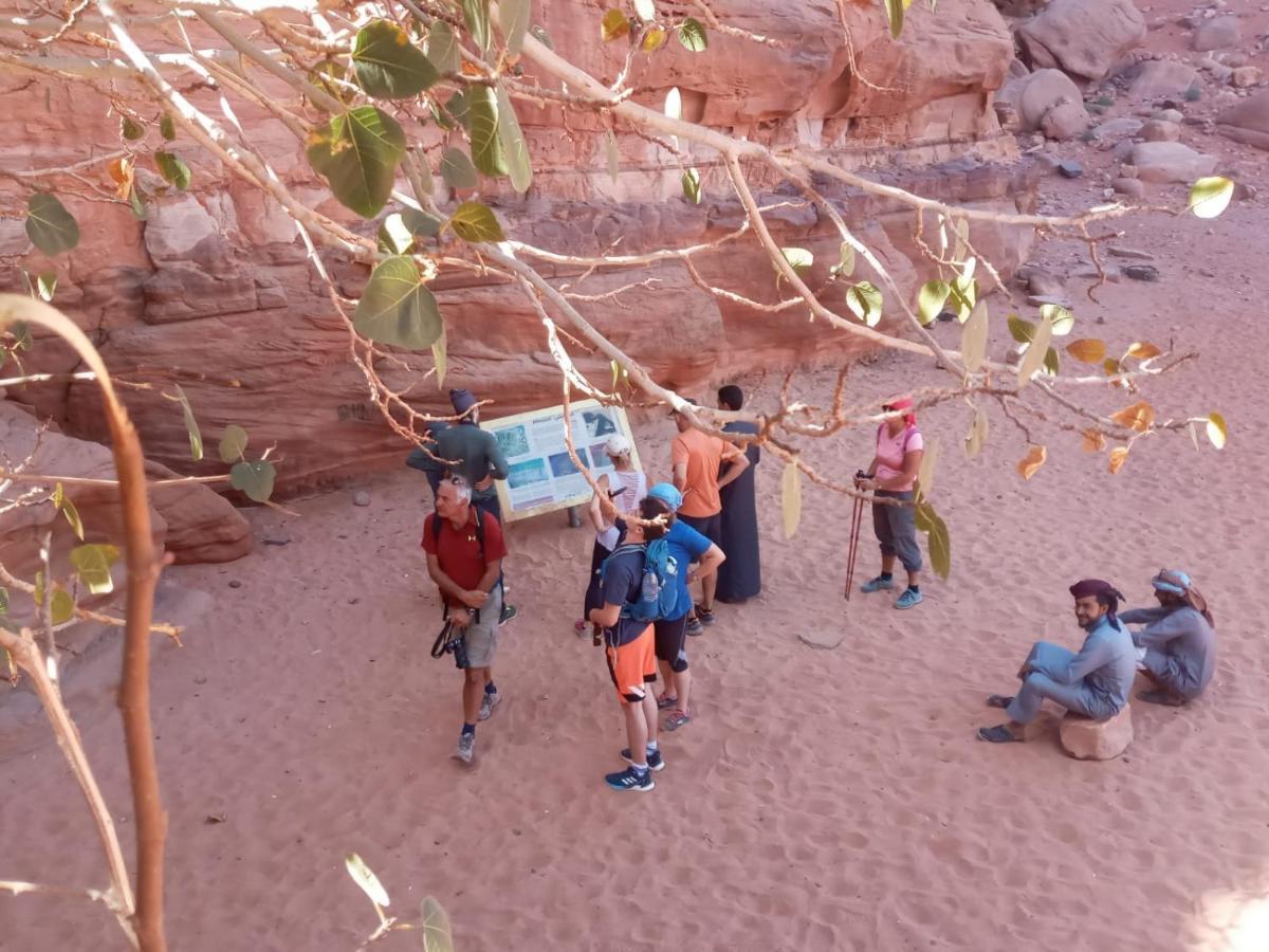 فندق Bedouin Future Camp وادي رم المظهر الخارجي الصورة
