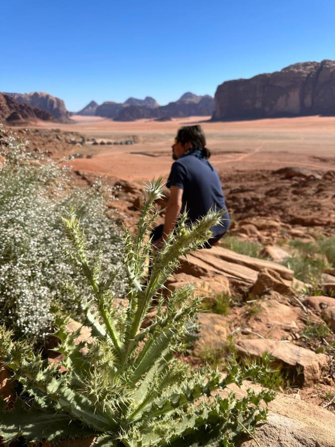 فندق Bedouin Future Camp وادي رم المظهر الخارجي الصورة