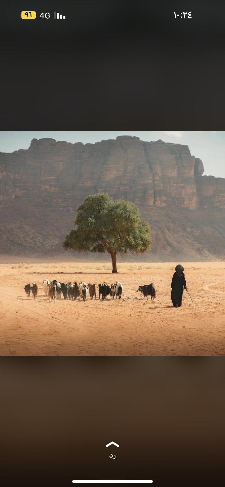 فندق Bedouin Future Camp وادي رم المظهر الخارجي الصورة