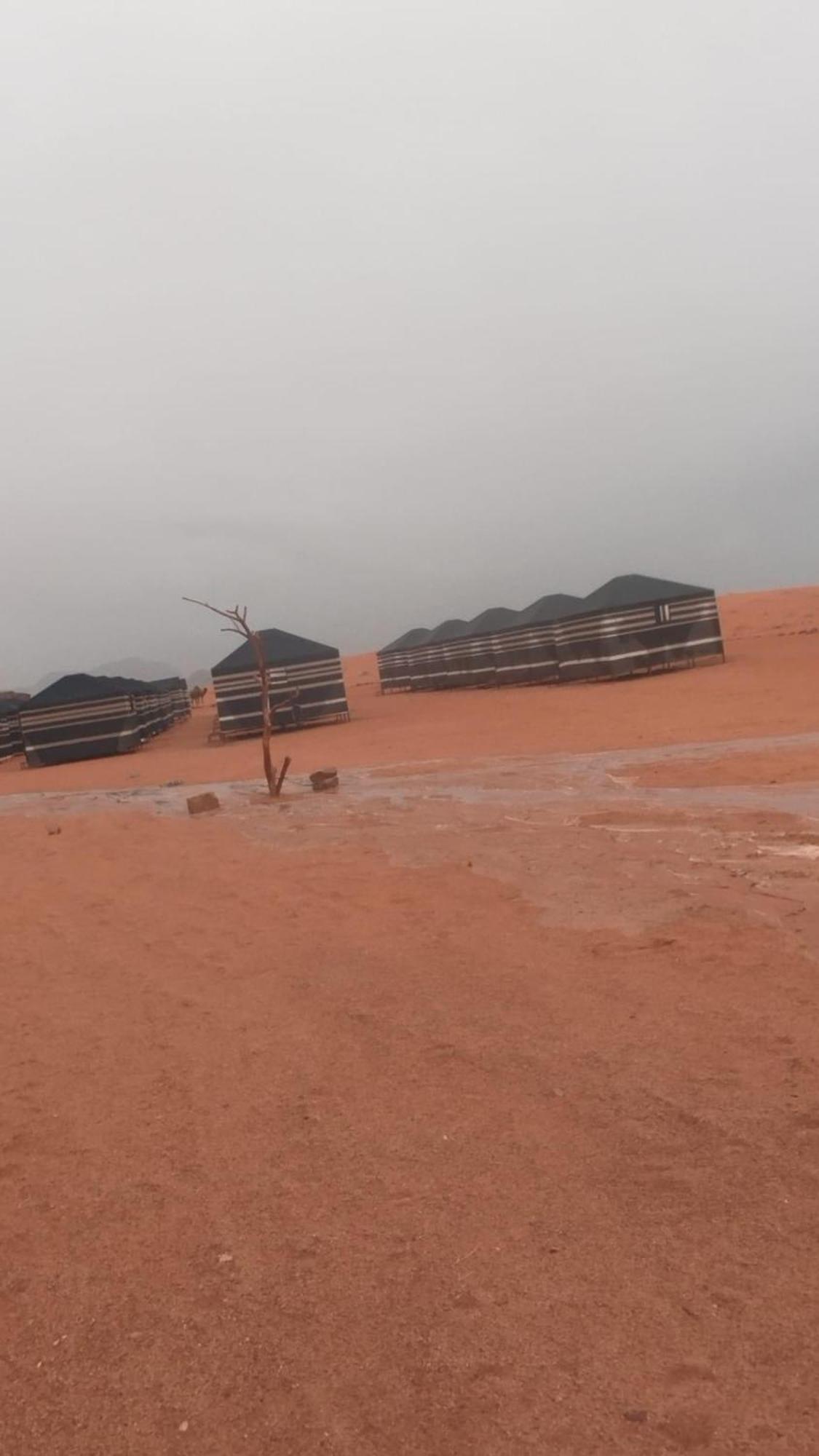 فندق Bedouin Future Camp وادي رم المظهر الخارجي الصورة