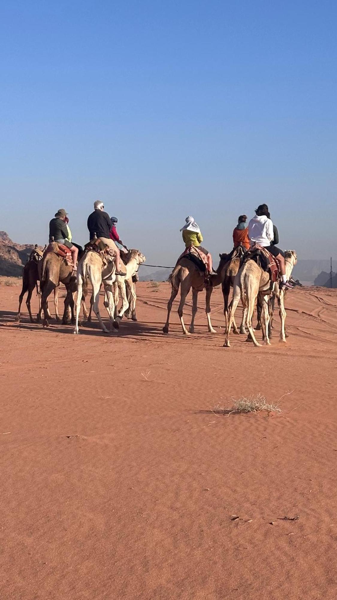 فندق Bedouin Future Camp وادي رم المظهر الخارجي الصورة