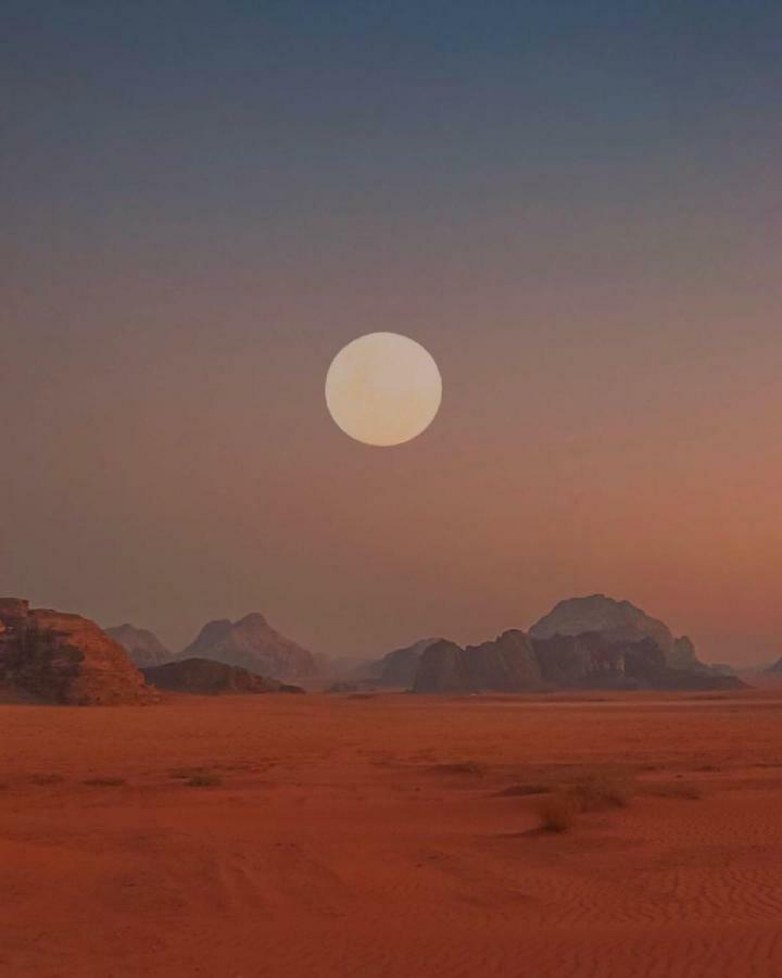 فندق Bedouin Future Camp وادي رم المظهر الخارجي الصورة